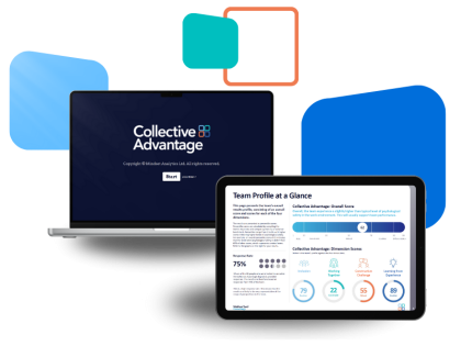 800 x 600 px collective advantage ui edit
